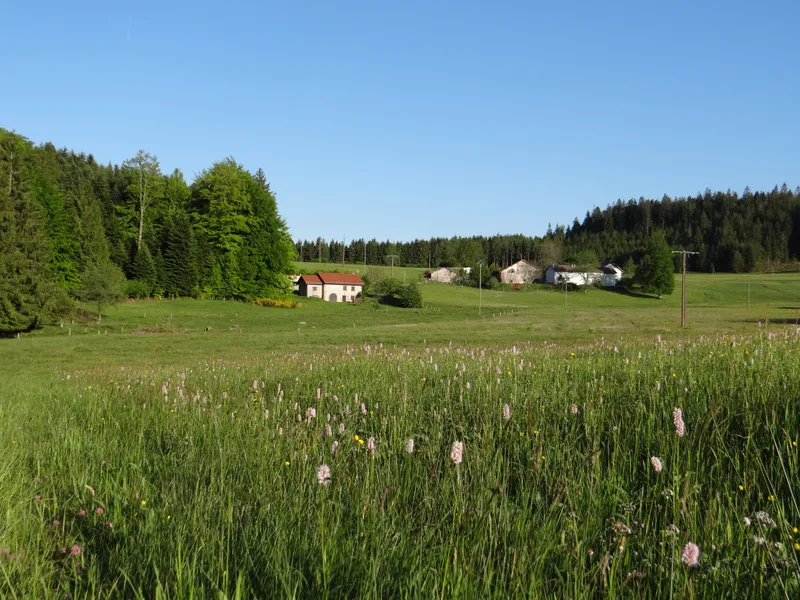 Gîte La Grange du Faing Janel — gîte de groupe à Tendon