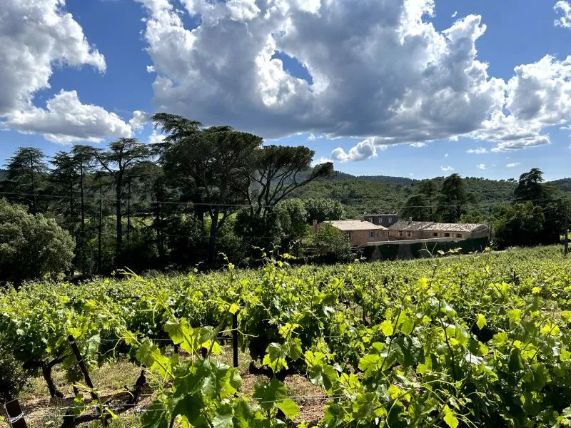 Photo 4 de Domaine de la Prévote à Besse-sur-Issole