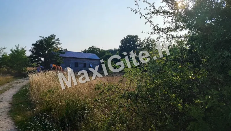 Photo 4 de Le Domaine des Anges à Thenay
