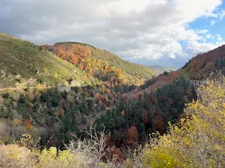 Photo 4 de Hespérides à Saint-Léger-de-Peyre