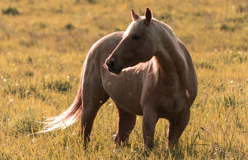 Photo de Thomas Ranch