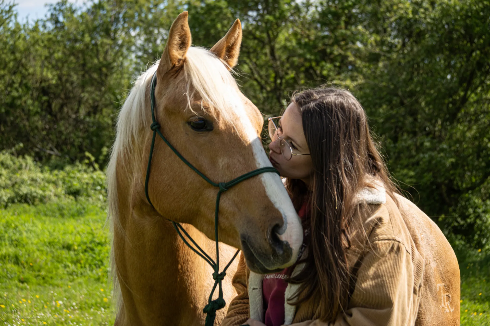 Thomas Ranch – Les Hauts d'Anjou