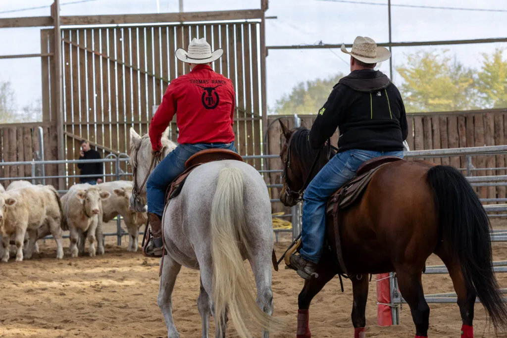 Thomas Ranch – Les Hauts d'Anjou