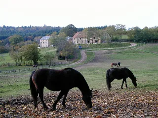 Photo de Centre Nature du Croux
