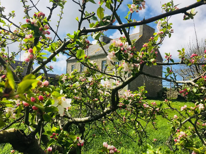 Gîtes de Bretagne – Plomeur