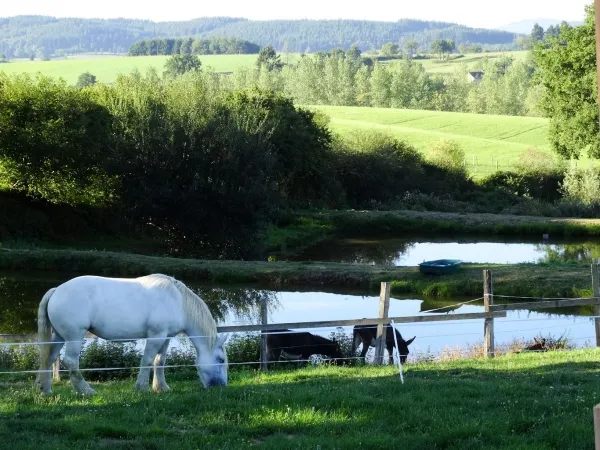 Photo 4 de Domaine de la Forêt à Beaubery