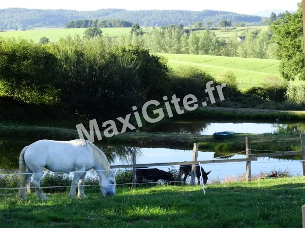 Photo 4 de Domaine de la Forêt à Beaubery