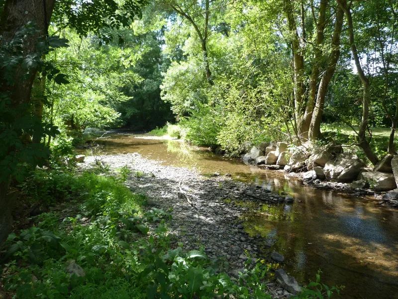 Photo de L'Erdre au Moulin
