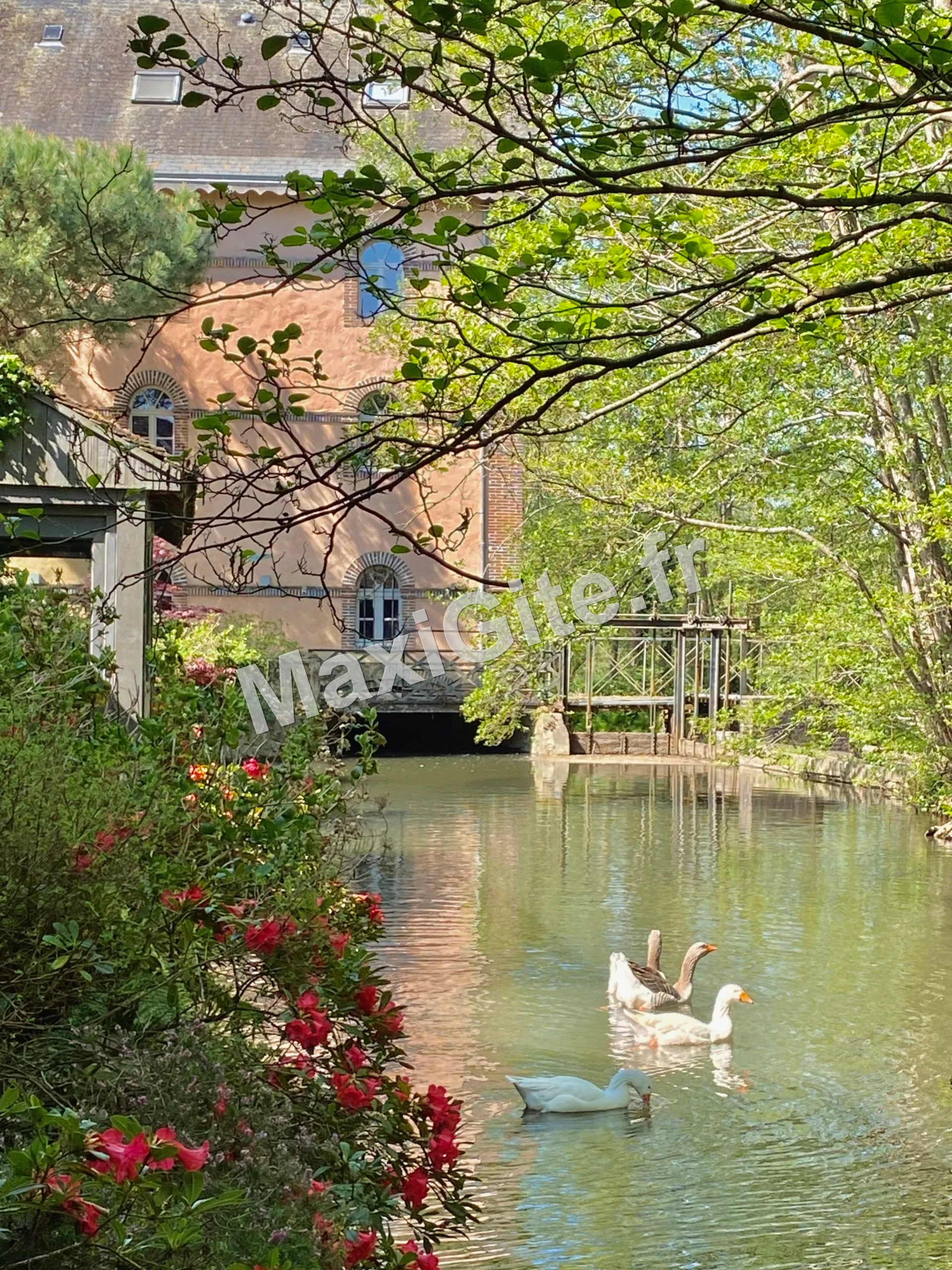 Gîte de groupe Le Moulin Pley à Sablons-sur-Huisne — Photo 1 de Le Moulin Pley à Sablons-sur-Huisne, capacité 22 personnes