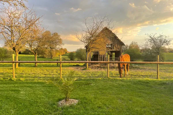 Photo 2 de Gîte de la SiMaunière à Grandparigny