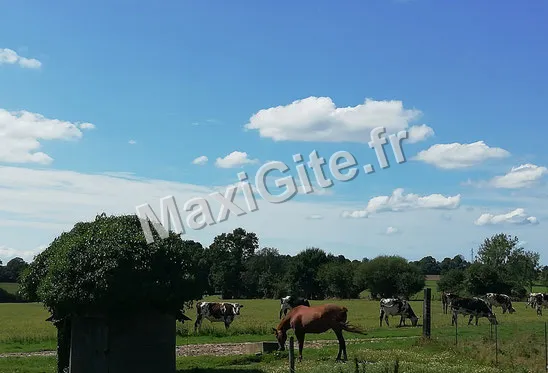 Photo 4 de Gîte de la SiMaunière à Grandparigny