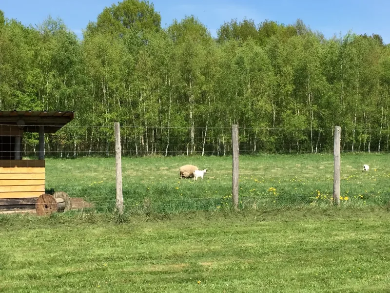 Domaine des Bonnys – Varennes-Changy