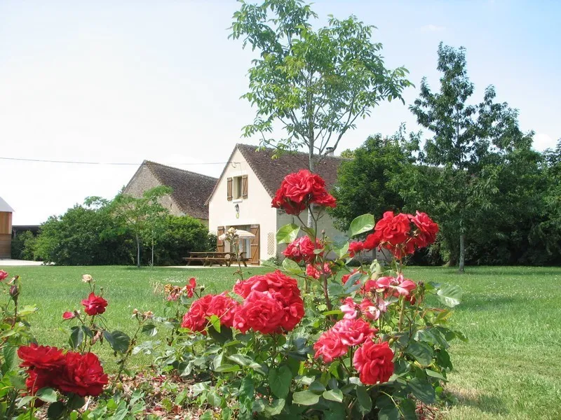 Photo 2 de Gîte de groupe des Pignons à Saint-Martin-des-Bois