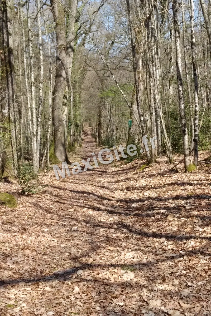 Photo 3 de La Roseraie de Brou à Noyant-de-Touraine