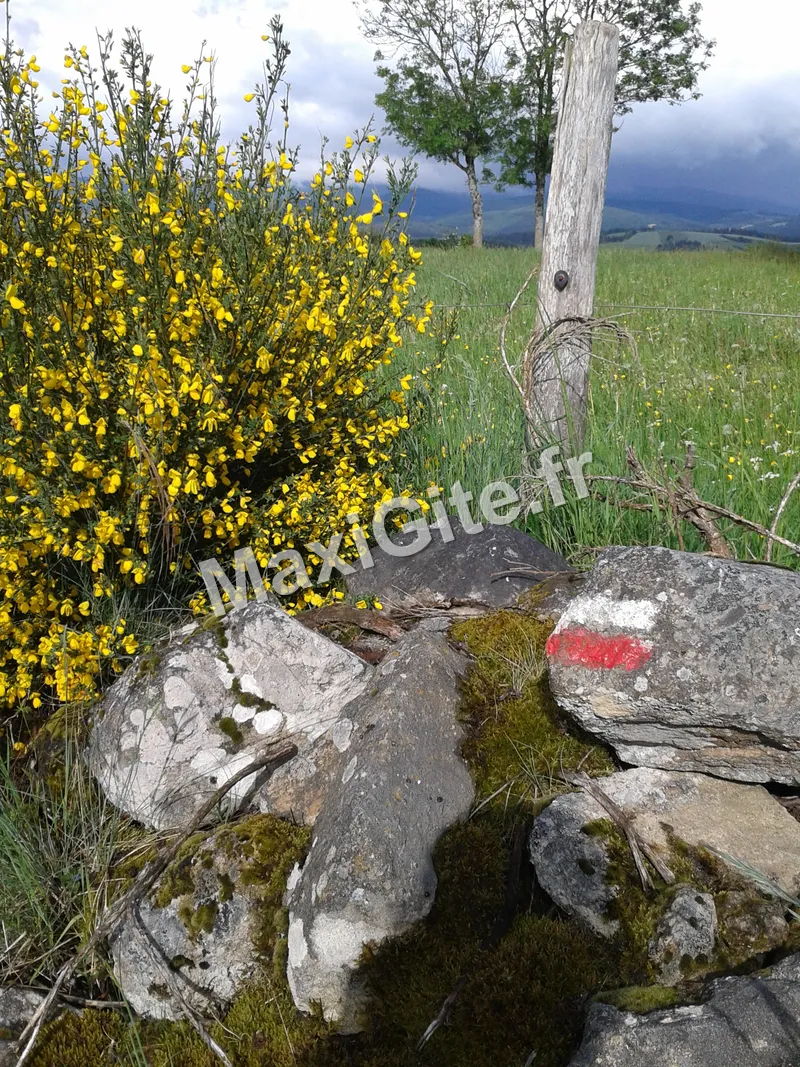 Photo 3 de Les Cremades à Langogne