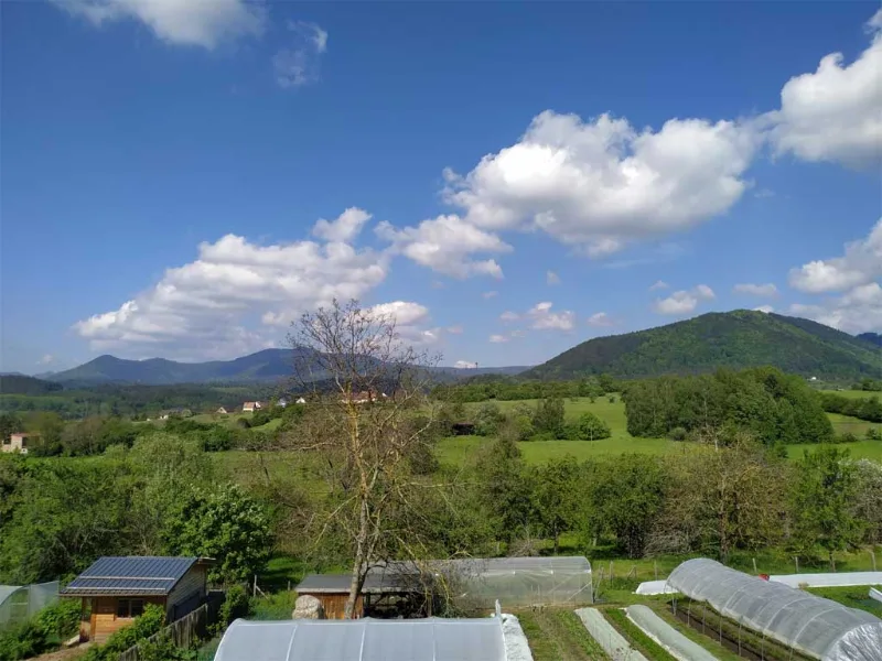 Photo de Le Clos du Haslach