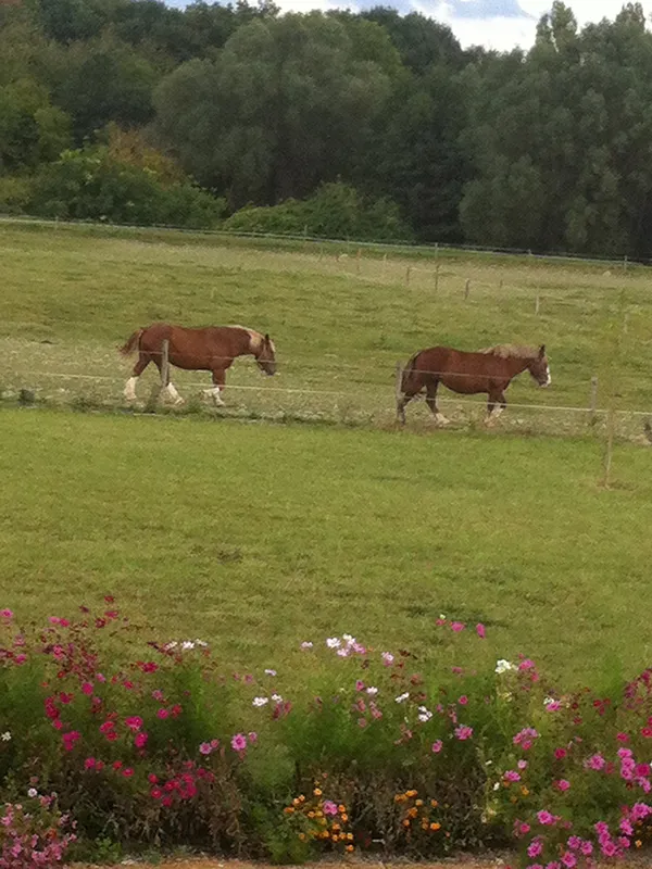 Photo 3 de Au Pré Charmant à Pouzay