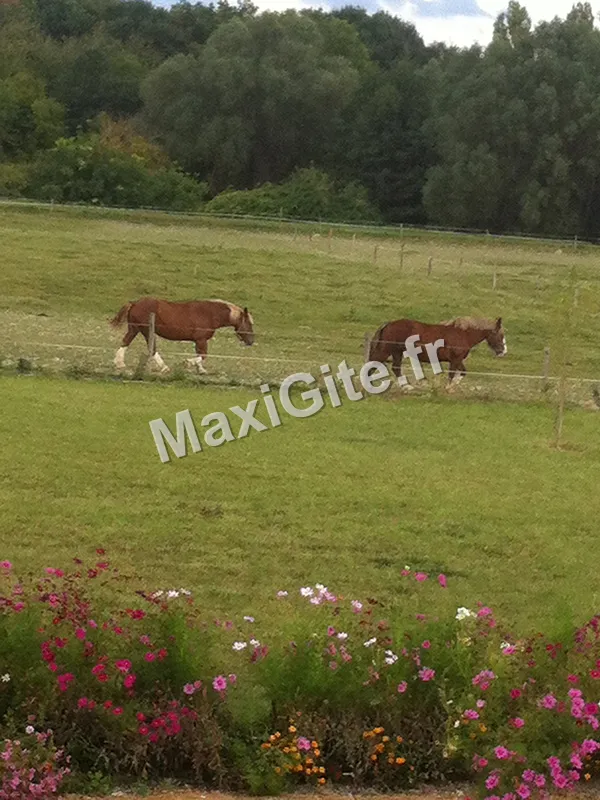 Photo 3 de Au Pré Charmant à Pouzay