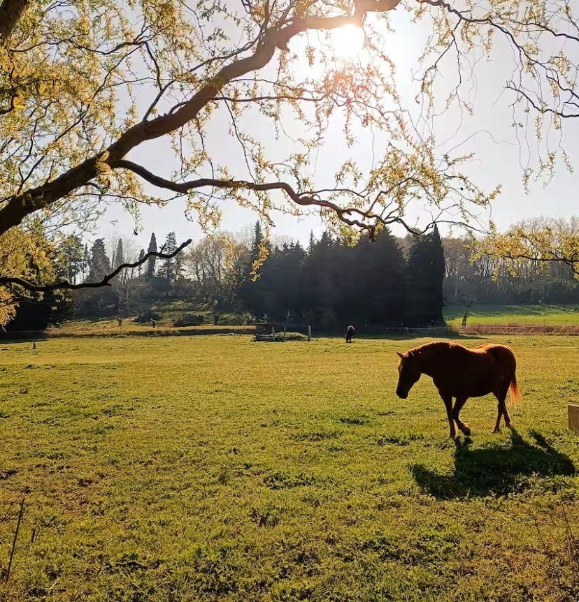 Mas Neissoun – Monteux