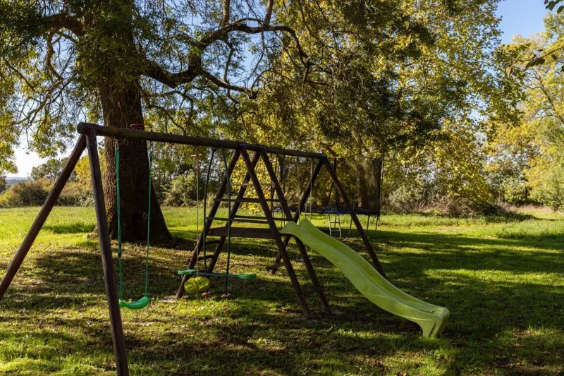 Aire de jeux pour enfants avec portique, balancoires et toboggan sous un grand arbre