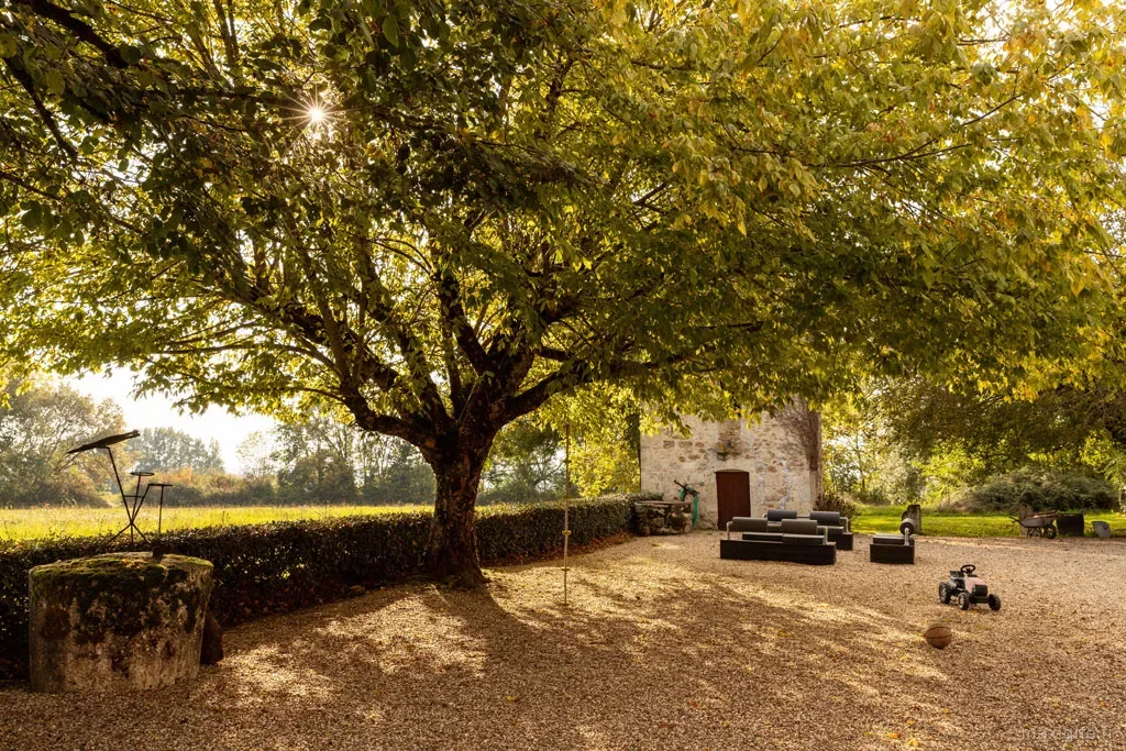 Vaste cour sous un grand arbre aux teintes automnales devant la batisse en pierre