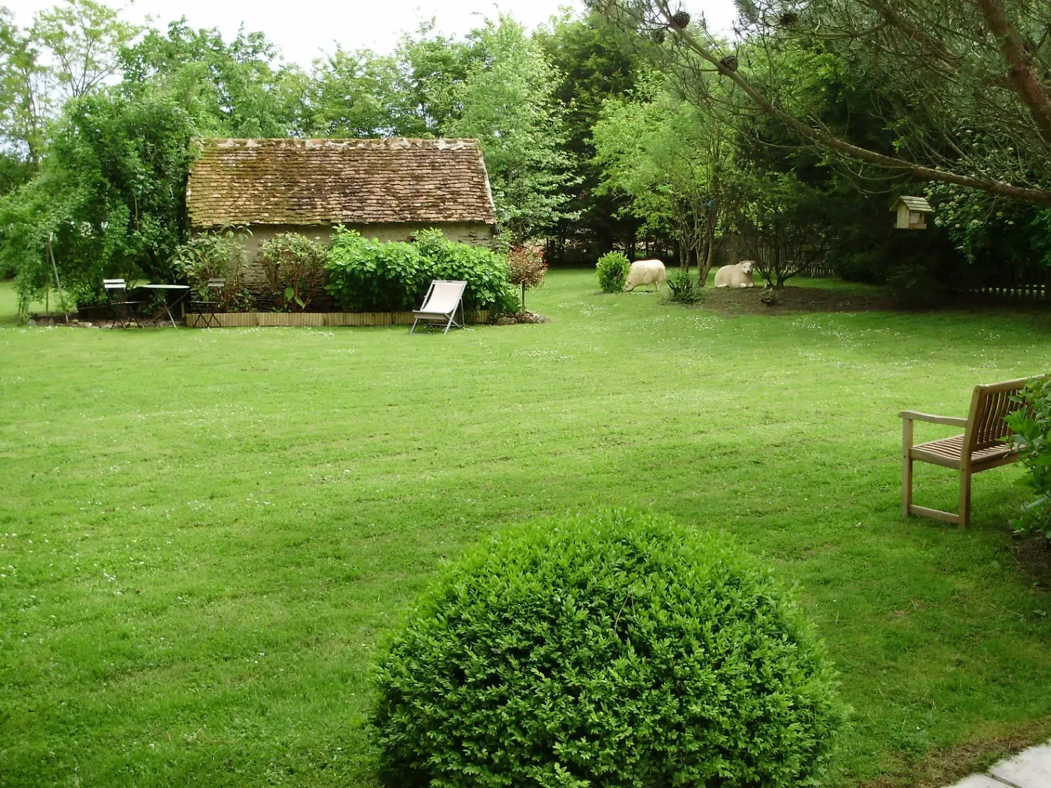 Jardin verdoyant et buccolique