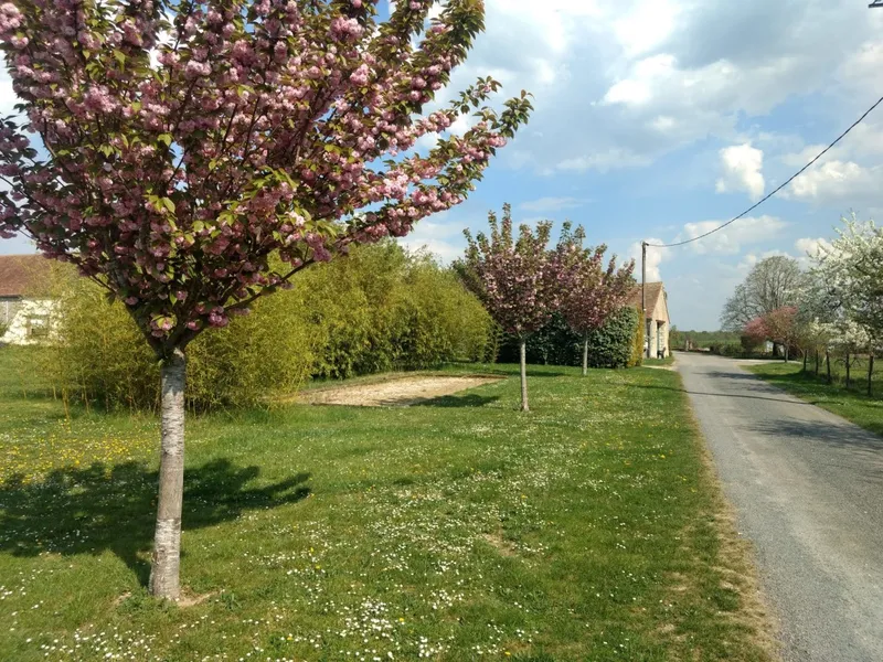 Photo 3 de Gîtes du Martroy à Nargis