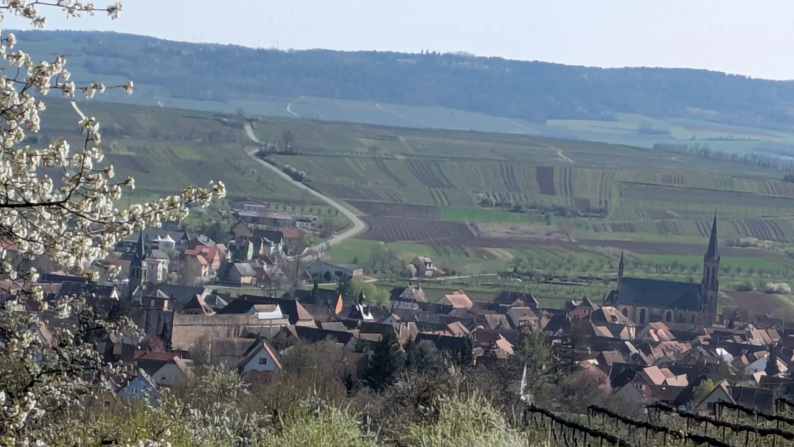 LA MAISON BERMA – Westhoffen Vue du village