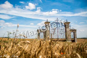 Photo 2 de Domaine de la Pépinière à Châtenay-sur-Seine