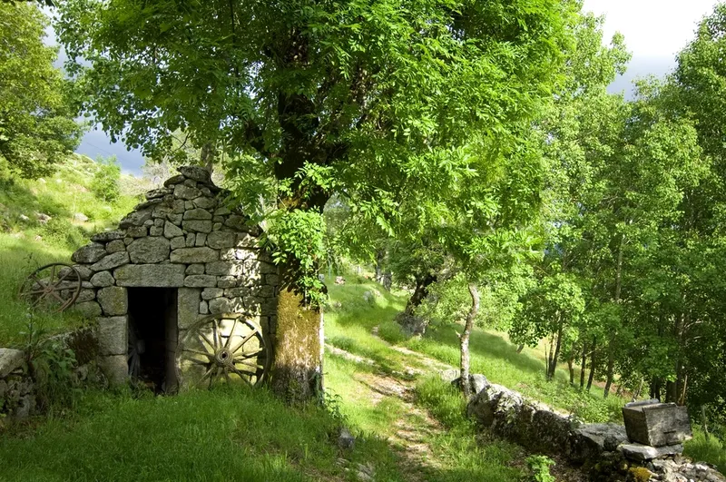 Photo 2 de Le Merlet à Pont-de-Montvert - Sud Mont Lozère