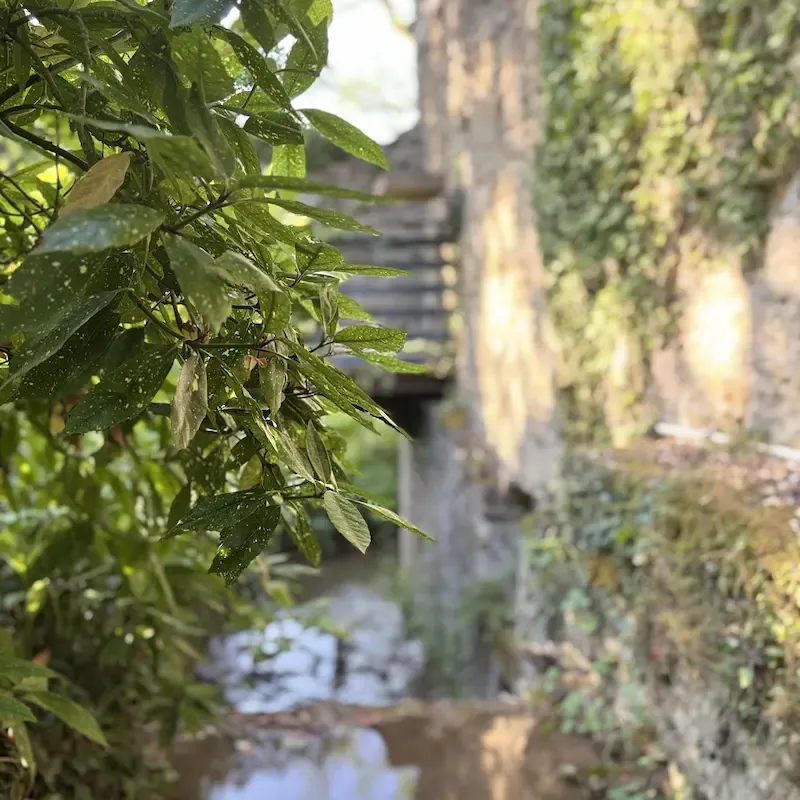Photo 2 de Le Moulin des Marguerites à Saint-Père