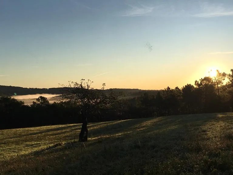Photo 4 de Domaine des Grands Bois à Sergeac
