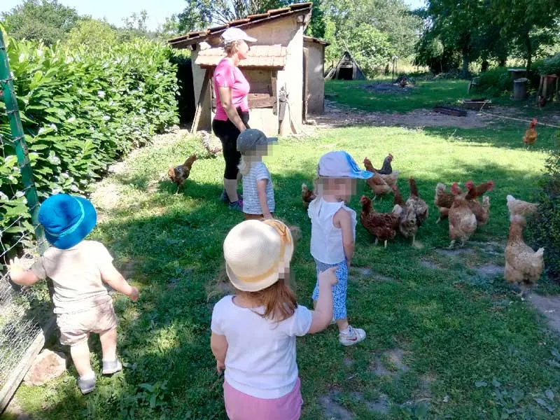 Photo 4 de Ferme de Paufy à Saint-Géry