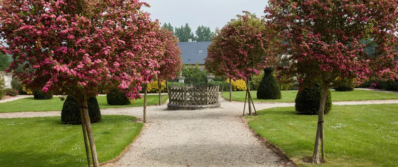 Photo 3 de Château d'Argouges à Mosles