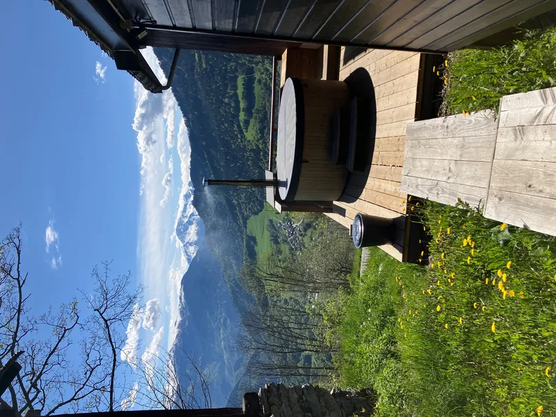 Photo 4 de Chalet La Rioule à Doucy-Combelouvière