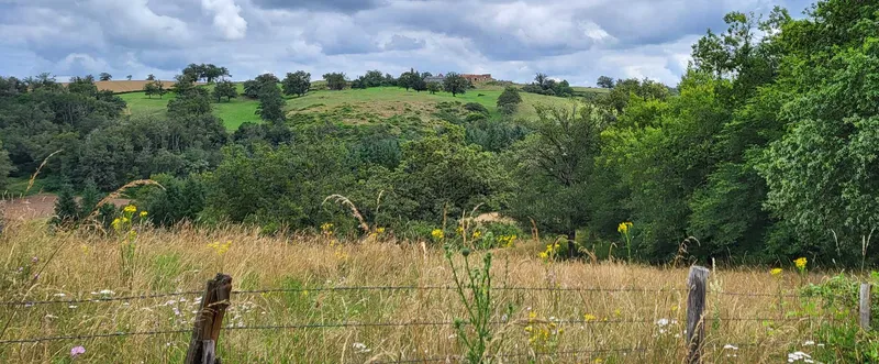 Photo 2 de Gîtes Le Vieux Sarre à Blomard