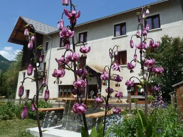 Gîte Gîte les Arolles — gîte de groupe à Molines-en-Queyras