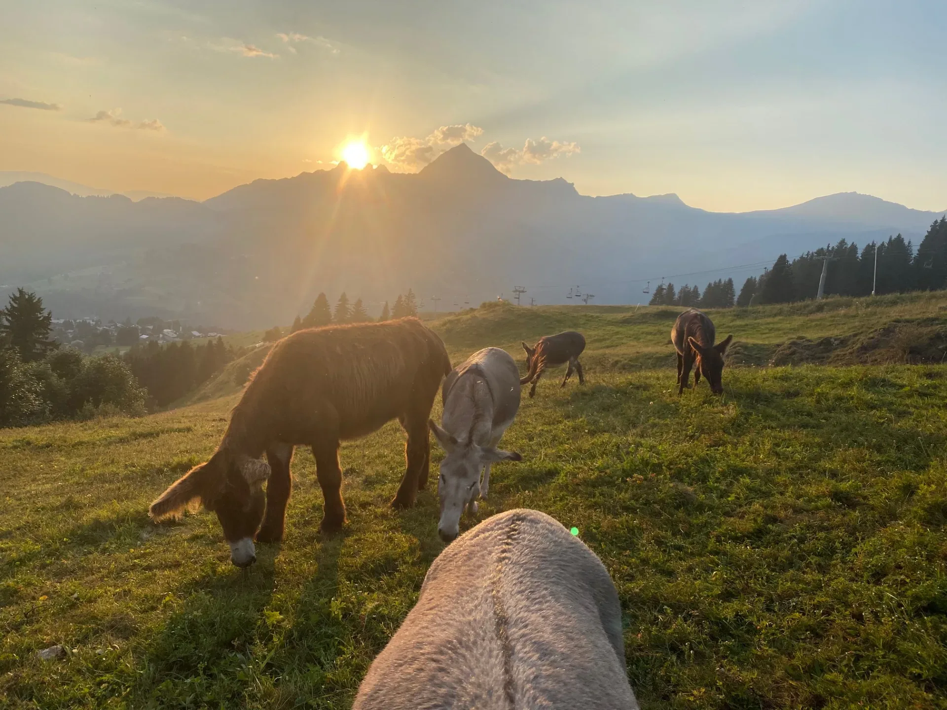 La Tête de Mule – Cohennoz