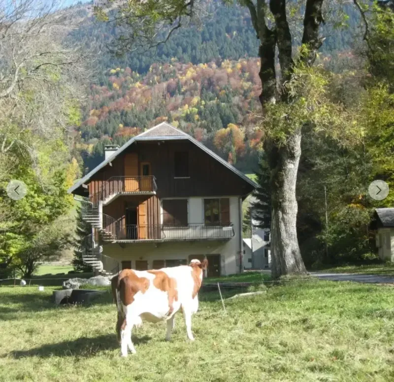 Chalet Sainte Humbeline – Plancherine