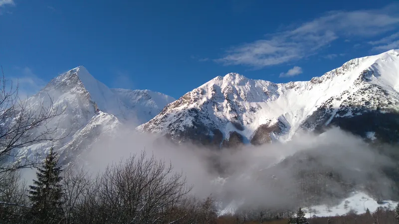 Gîte Gite le Chamois — gîte de groupe à Chantepérier