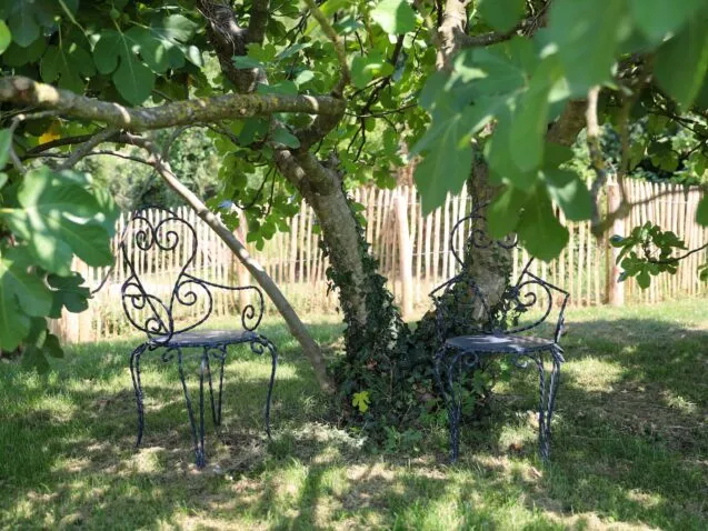 Photo 4 de Le Moulin des Étrebières à Cheffois