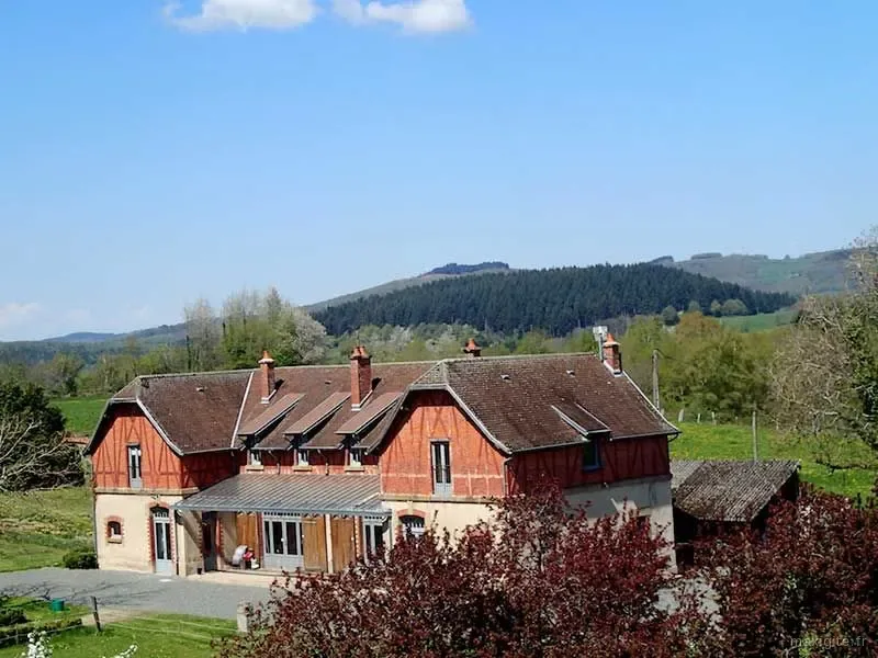 Haras d'Ettevaux – Poil