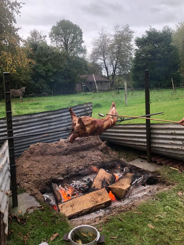 Haras d'Ettevaux – Poil