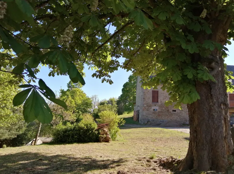 Photo 2 de La Picolina à Charensat