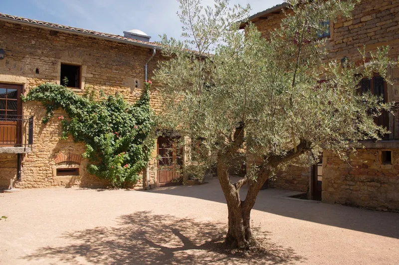 Gîte Relais des Pierres Dorées — gîte de groupe à Lacenas