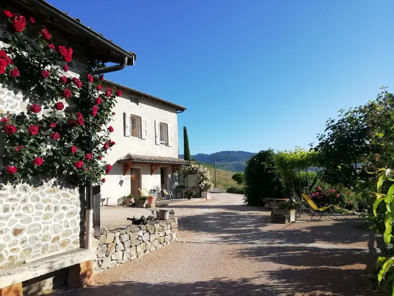 Gîte Domaine Lagneau — gîte de groupe à Quincié-en-Beaujolais