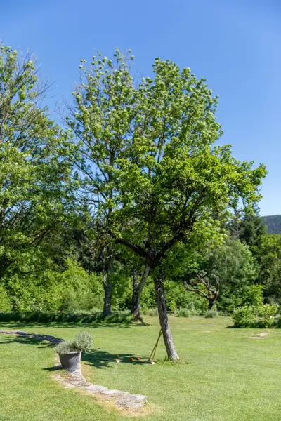 Photo de Le Domaine des Gorcias