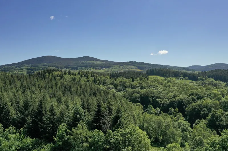 Photo 4 de Le Domaine des Gorcias à Vollore-Montagne