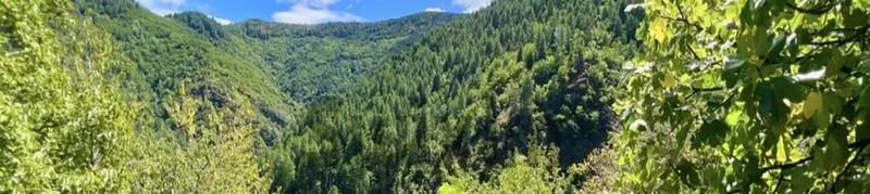 Gîte Écolieu Les Masades — gîte de groupe à Malons-et-Elze
