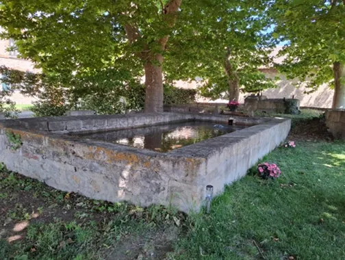 Gîte Mas de Bonnafoux — gîte de groupe à Beaucaire